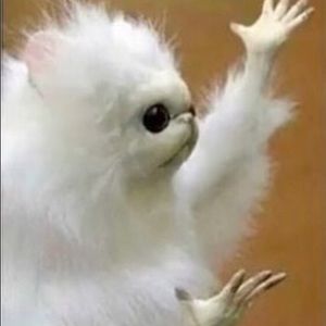 Meet your Posher, Arnaldo